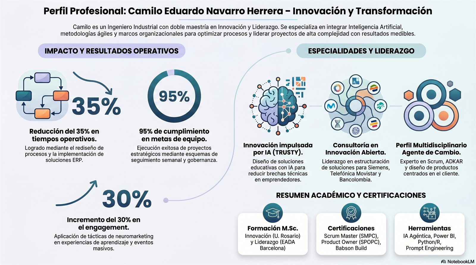 Perfil profesional de Camilo E. Navarro H.